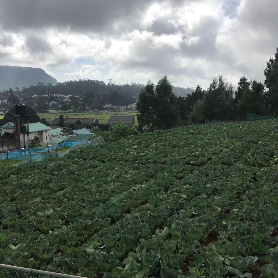 Dahlia Mount View Hotel Nuwara Eliya Luaran gambar